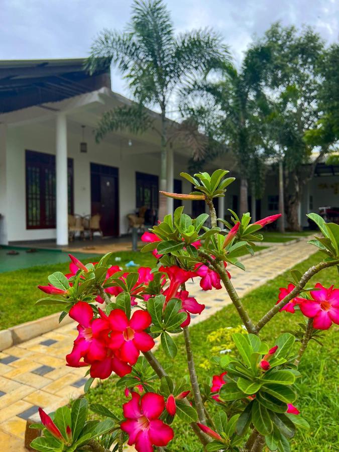 Sigiriya Green Garden Home Exterior foto